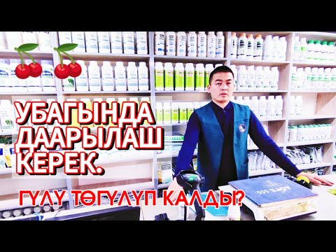 Видео: 🛑 Гилас, алма, шабдолуга кеч боло электе зыянкечтерине каршы даарысын берели. 🐛🦋🐞