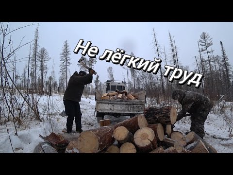 Видео: ПОМОГЛИ ПЕНСИОНЕРУ С ДРОВАМИ. ПОРВАЛИ МАШИНУ В ЛЕСУ!!!