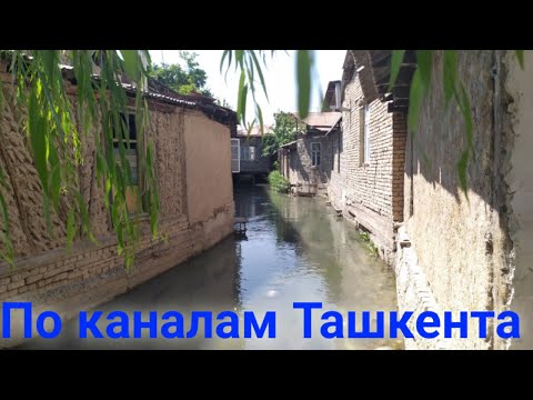 Видео: По каналам Ташкента - экскурсия в Ташкенте