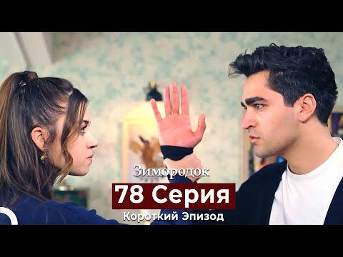 Видео: Зимородок 78 Cерия (Короткий Эпизод) (Русский дубляж)