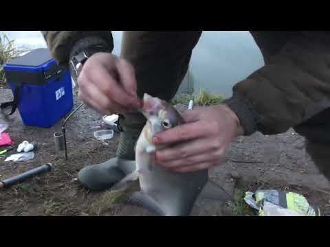 Видео: Лещ в ноябре / фидер в ноябре