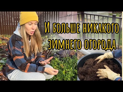 Видео: ПОСЛЕДНИЕ ОСЕННИЕ ДЕЛА В САДУ. Вместо зимнего огорода - черенкование 