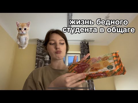 Видео: жизнь бедного студента в общаге / день 1 …