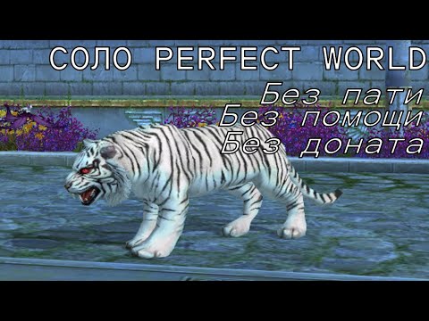 Видео: СОЛО ПВ # 15 / Соло Perfect World # 15