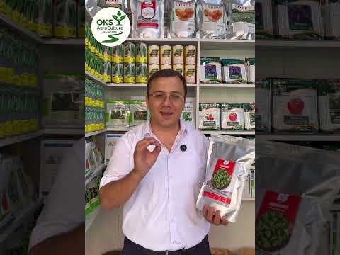 Видео: Urug’lar уруғлар   #agro #уруғлар  . Oks Agro Aqlbek Ikromov +998772102880