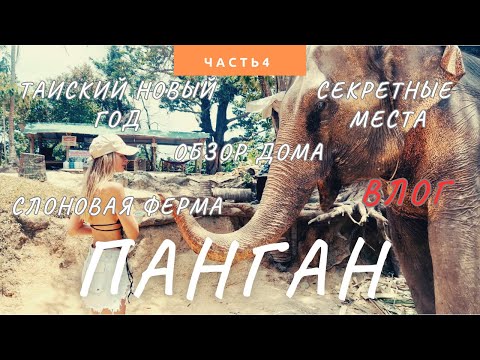 Видео: ОСТРОВ ПАНГАН (ТАИЛАНД ) часть 4 - слоновая ферма, секретная локация, Таиский новый год, новый байк