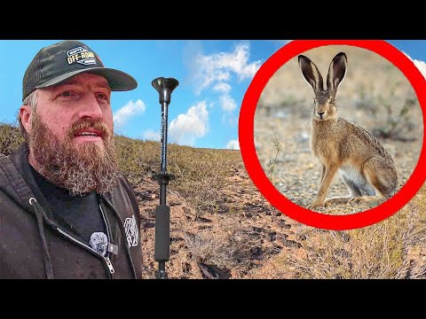Видео: Охота на инвазивных кроликов с помощью дротиков... Уничтожение фермы