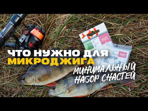 Видео: Микроджиг Минимальный Набор Снастей с Чего Начинать и Что Нужно