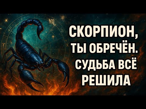 Видео: Скорпион — ноябрь меняет всё в твоей судьбе. Грядущий прорыв, к которому ты шёл годами. Гороскоп.