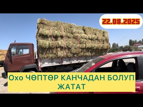 Видео: Беде, ЧӨП, ЖАЛА-Абад ПУЛДАРЫ КАНДАЙ?