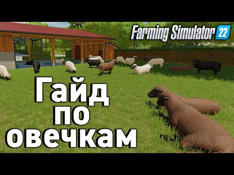 Видео: Советы,эксперименты по овцам! Farming Simulator 22 Какие овцы дают больше шерсти