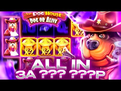 Видео: ПОЙМАЛ ЗАНОС В БОНУСКЕ ЗА 50К И ВЗЯЛ ALL IN ЗА ??? ???Р В THE DOG HOUSE DOG OE ALIVE!