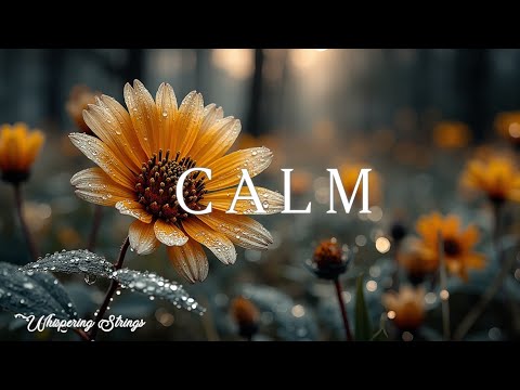 Видео: Рассветная Гитара Медитация - Спокойный Лесной Инструментал для Глубокого Расслабления