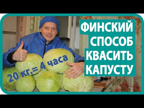 Видео: КВАШЕНАЯ КАПУСТА / КАПУСТА НА ЗИМУ / МОЙ РЕЦЕПТ