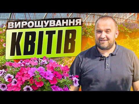 Видео: Вирощування квітів. Рекомендації по догляду та підживленню за квітами.