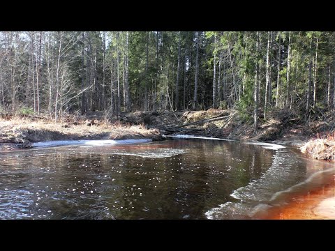 Видео: Немного ностальгии или традиционный поход к деревне Луги.
