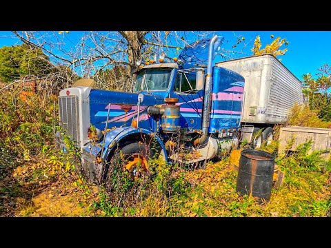 Видео: Peterbilt 359 1981 года выпуска спасен из могилы. Заведется ли он?