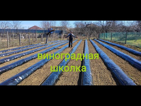 Видео: Планировка виноградной школки .