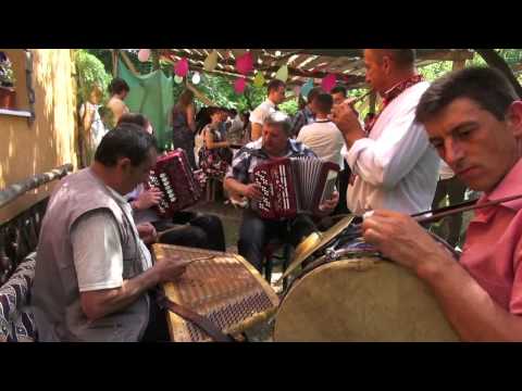 Видео: гурт Едельвейс