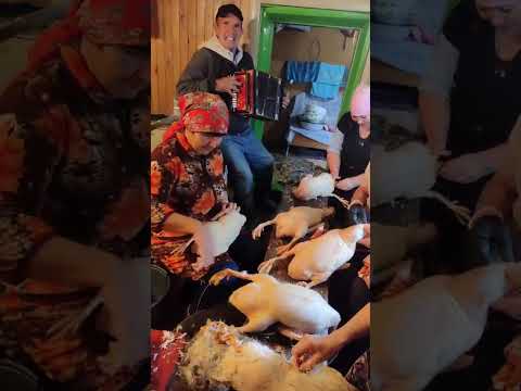 Видео: С гармонью веселей.д Нуринер.Балтасинский район.