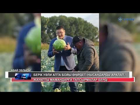 Видео: "168 САҒАТӘ ҚОРЫТЫНДЫ ЖАҢАЛЫҚТАР