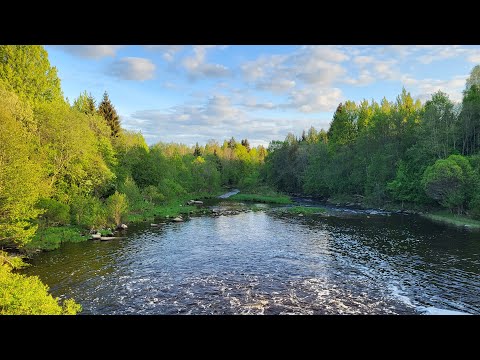 Видео: Велопрогулка. 2 часть. Руины Торошинской ГЭС