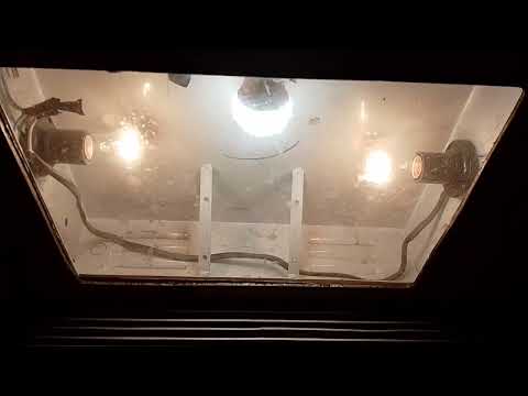 Видео: 🔥П-30 "Московская серия!" Лифты КМЗ-(1989 г) 320 кг, 1 м/с (@ г. Вязьма, Московская, 28, под-2)