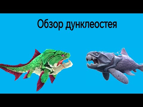 Видео: обзор дунклеостея в хангри шарк эволюшен