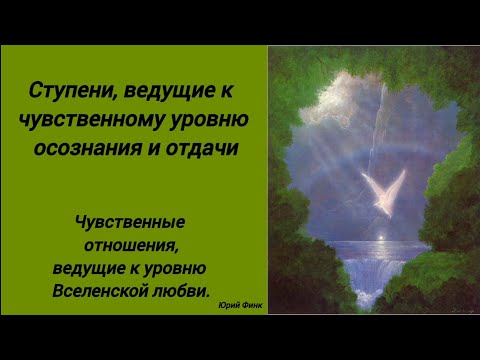 Видео: Ступени, ведущие к чувственному уровню осознания и отдачи. (Юрий Финк)