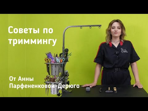 Видео: Советы по триммингу от Анны Парфененковой-Дерюго, призера международных конкурсов по грумингу