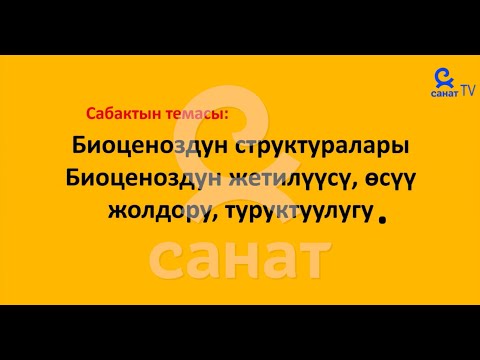 Видео: Биология 11 класс 23 сабак