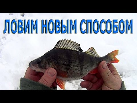 Видео: ОКУНЯ ЛОВИМ НОВЫМ СПОСОБОМ.( Глухозимье,конус,крючок,стопор )