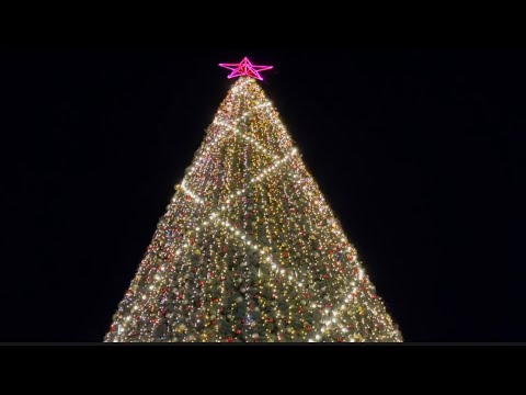 Видео: С наступающим Новым годом 2024,центральная елка г Грозный 🎄🎄🎄