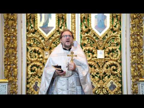 Видео: Если нет воскресения, зачем я...