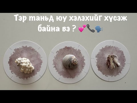 Видео: Тэр хүн таньд юу гэж хэлэхийг хүсэж байна вэ ? 🗣️❤️