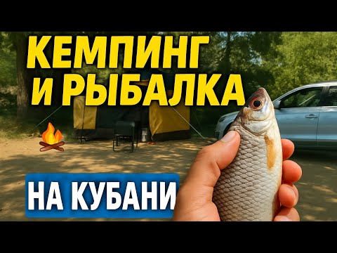 Видео: 🏕️ Кемпинг и рыбалка на реке Кубань 🎣
