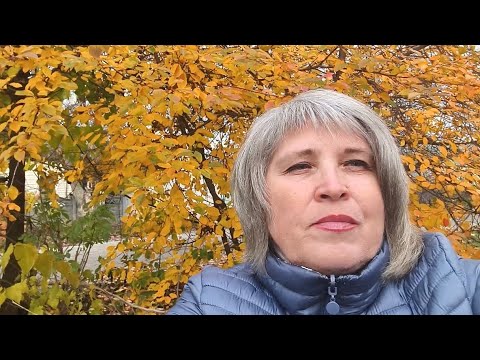 Видео: 🍂Дніпро. Кіт охоронець,поціновувач хризантем! 