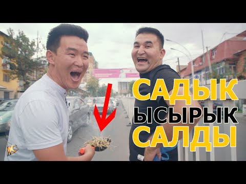 Видео: САДЫК кочодо ЫСЫРЫК салып журду I 2 выпуск  2 сезон ЭРКЕКЧЕ ДОЛБООР