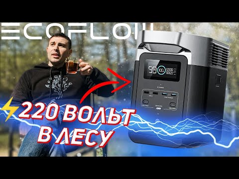 Видео: EcoFlow Delta 2 Удивила! Обзор Зарядной Станции на пикнике