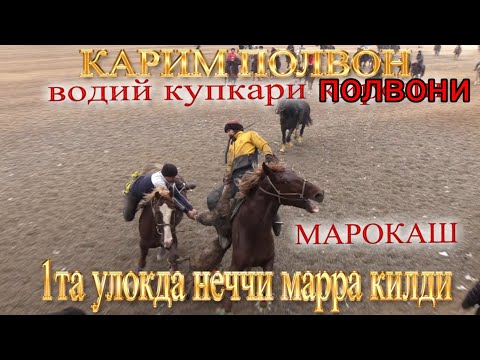 Видео: Карим полвон 1 кунда килган марралари 6.02.2022