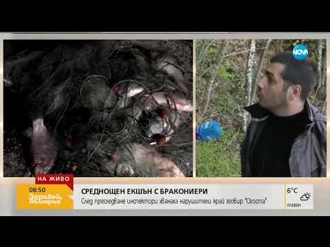 Видео: Гонка с бракониери край язовир „Огоста” - Здравей, България (17.04.2019г.)