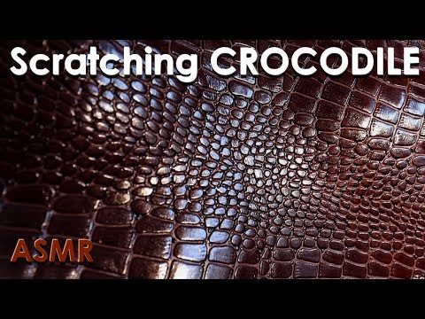 Видео: АСМР Звуки "крокодильей" кожи (БЕЗ РАЗГОВОРА)