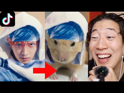 Видео: Enhypen TikTok Edits, потому что их возвращение стало ХИТОМ