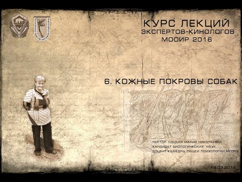 Видео: Лекция 6. Кожные покровы собак. (Курсы экспертов-кинологов МООиР 2016)