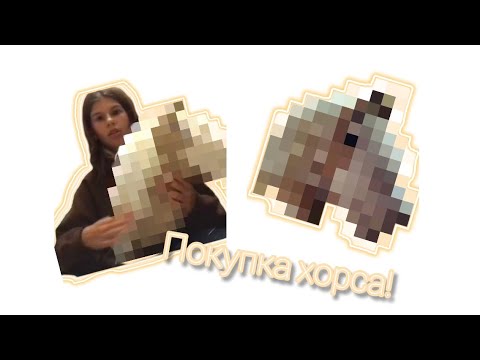 Видео: ПОКУПКА ХОРСА+РАСПАКОВКА!