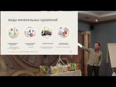 Видео: Интенсивные технологии питания овощных культур в открытом грунте