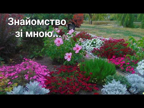 Видео: Знайомство зі мною.Відео-каталог Продаж насіння.Моя садово-квітково-городня🙃🙂 енциклопедія.