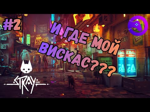 Видео: ГДЕ ВИСКАС???➤ STRAY ◉ Прохождение #2