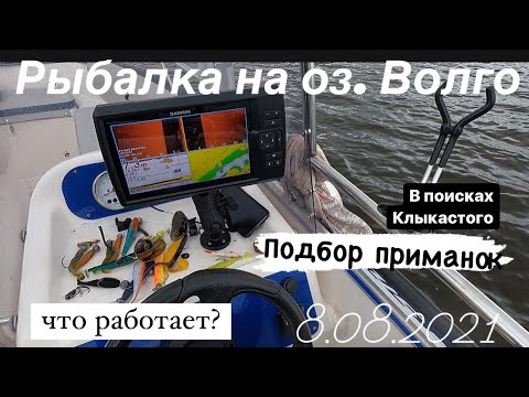 Видео: Рыбалка 8.08.2021 года на озере Волго. Подбор приманок.Джиг. Подробный рассказ. Что работает!!!