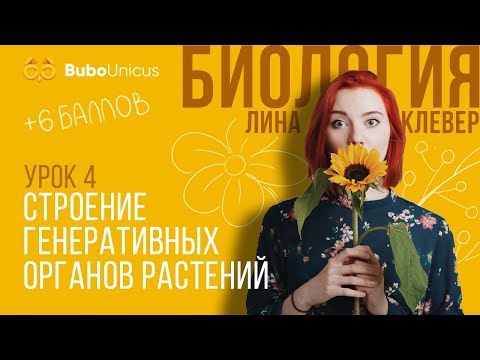 Видео: Строение генеративных органов растений| БИОЛОГИЯ ЕГЭ | Лина Клевер